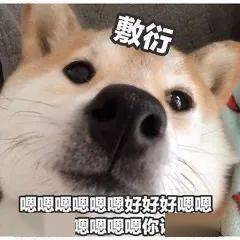 今日份搞笑表情包