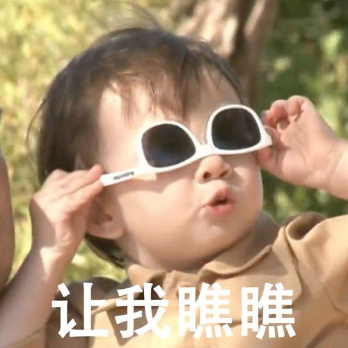 表情包二十期