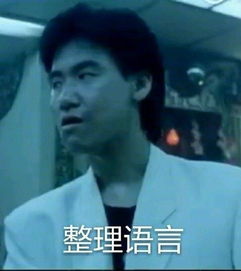 整理语言稍加思表情包