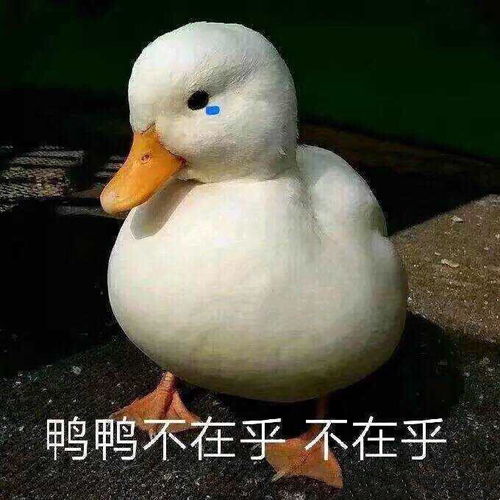 必知的几个阳台装修技巧,已学会的话这就很优秀了