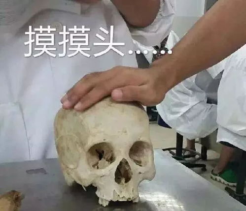 斗图专用这一波医学生的表情包很刺激