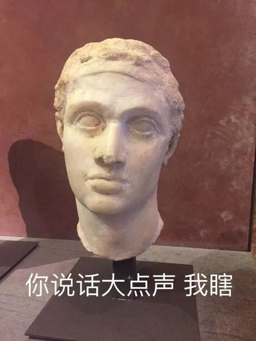 生活斗图表情包文物