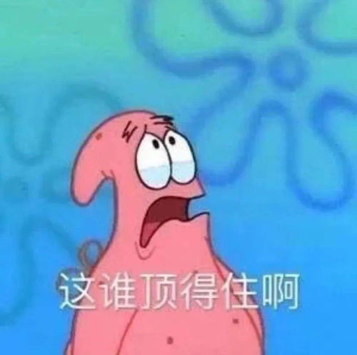广东白云学院居然上热搜了