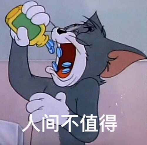 花园猫表情包猫和老鼠
