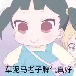 表情包丨今日份的沙雕