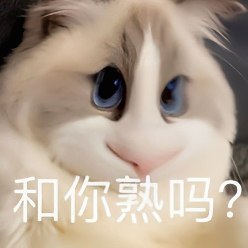 沙雕表情包丨不服你来打我呀