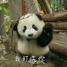 瓜帅赛后感谢球队引援操作,我们还会继续进步