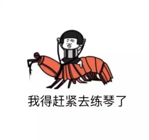 还没有关于练琴的表情包赶快拿走