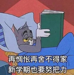 别反抗了确认过眼神,是不想开学的人