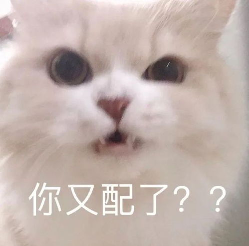 中午好表情包来了有个小鱼表情有点吓人