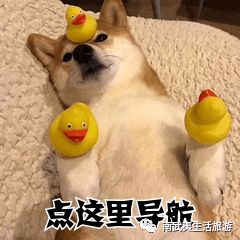 和平古镇最全的旅游攻略看这里