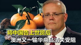 澳前高官恫吓中国必须切断中澳关系,还要实现经济脱钩
