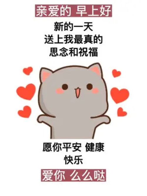 搜索小程序进入即可免费获取此表情包无水印原视频