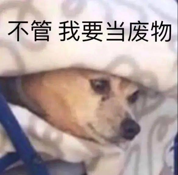 狗子下楼,汪生一道坎儿啊
