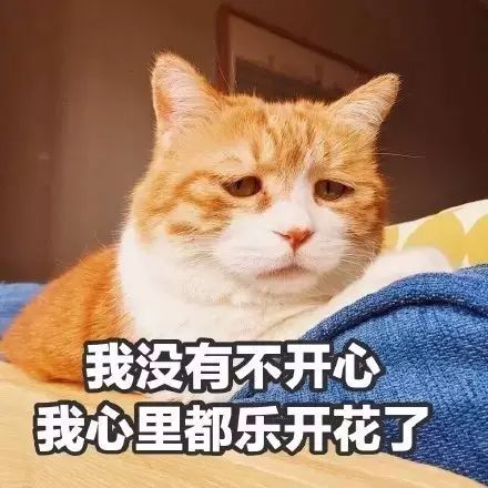 说什么喜欢吸猫,还不都是为了人家的表情包