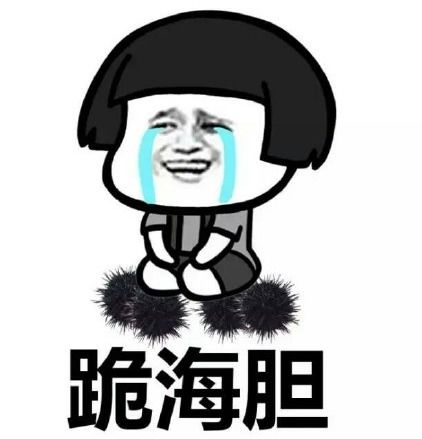 向女友认错的新跪法表情包大全