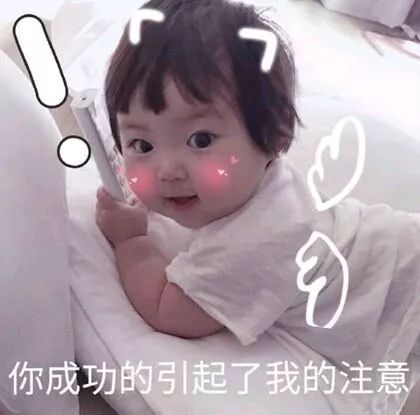 水滴终成志愿汇