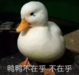 表情包网恋吗小哥哥减肥太难了