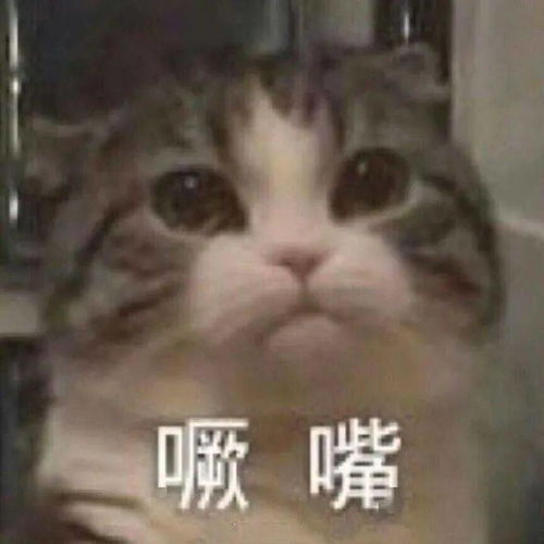 沙雕表情即将失去耐心