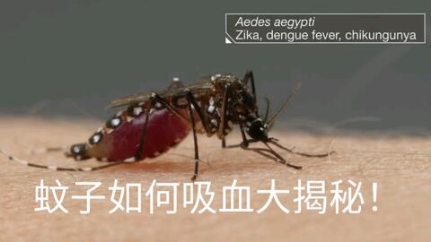 打针孩子表情包蚂蚁咬