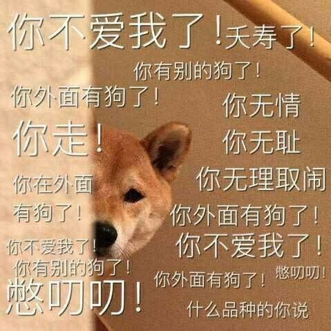 金宝搏188网址登录2023已更新今日现代快报