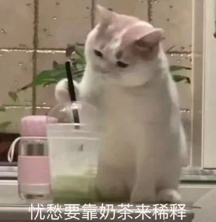男生发猫猫狗狗的可爱表情包会是渣男吗为什么