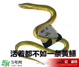 七彩皮皮鳝我们往死里钻是什么意思七彩皮皮鳝我们去个好地方是什么意思
