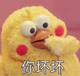 这表情包的鸡叫什么啊