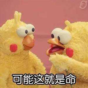那年星空那片海老土的不只有冯绍峰的发型