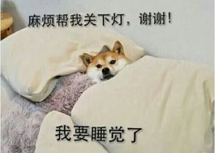 太形象了8这就是国庆节放假时的你啊哈哈哈哈哈...