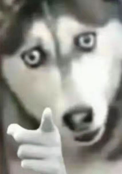 视频做成表情包gifdoge