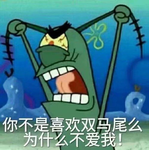 你有哪些让你一秒变开心的表情包
