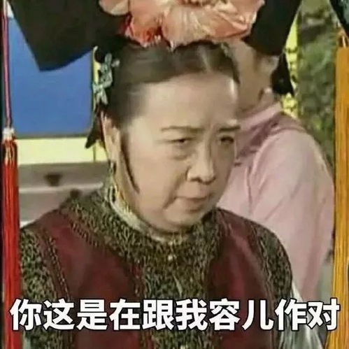 还珠格格又双叒叕重播啦