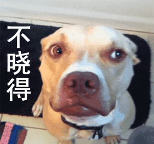 微信摇头动态表情包摇头表情包gif下载乐游网游戏下载