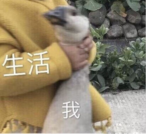 天天吃香精,会把身体吃坏吗