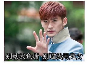 幻乐一场过去一年了,王菲依旧处在风口浪尖