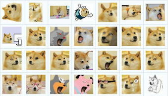 神烦狗gif表情包