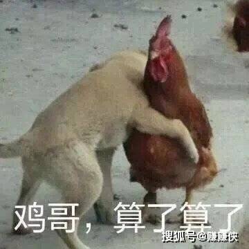 不管是谁,只要你喜欢表情包图片,我们就是好朋友
