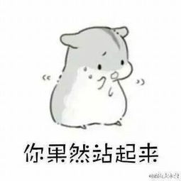 丶照片丶相册大全yy官方