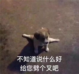 一周车话车圈这无聊的一周啊