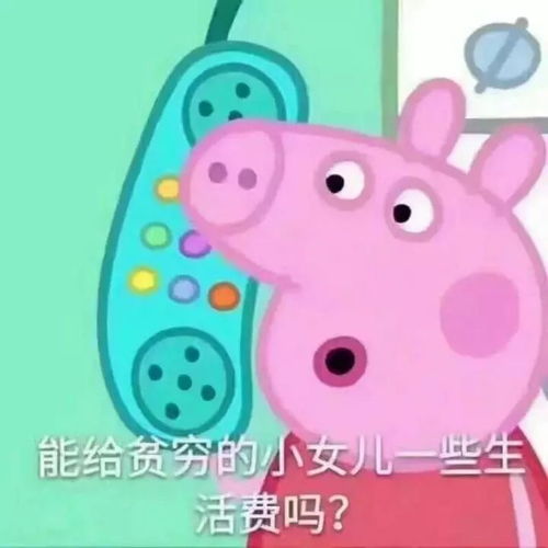 警报警报2017已不足3