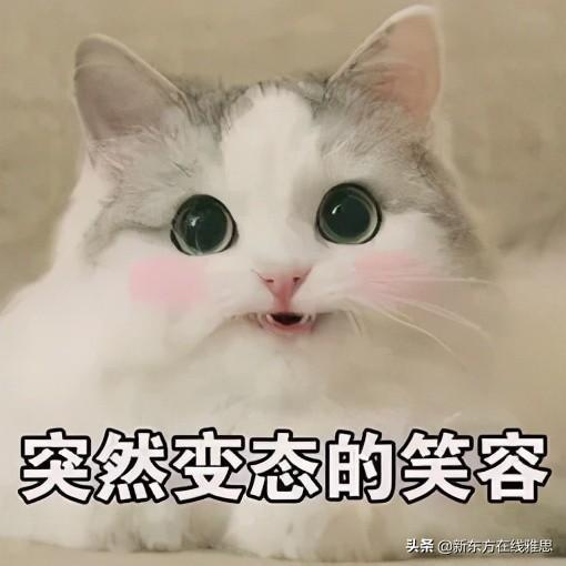 只要6分就能申请英国这些顶尖高校居然藏着捡漏专业