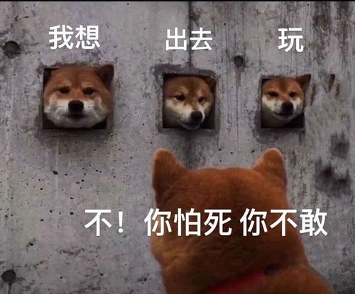 疫情还未结束,老铁们咱们不差这几天哇