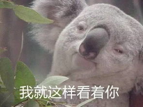 有怪兽有怪兽