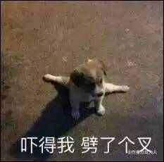 百度移动搜索昨晚宕机网友玩嗨搜索比我帅的人