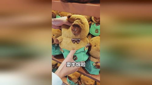 卡皮巴拉烘焙双厨狂喜豚门女孩快来豚豚这么可爱怎么可以吃豚豚真香带你看看卡皮巴拉快...