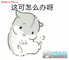 再闹卖了你仓鼠表情包图片下载再闹卖了你表情包无水印版下载飞翔下载
