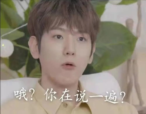 无标题