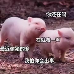 要下雨了撩妹表情包我能送你回家吗可能外面要下雨了