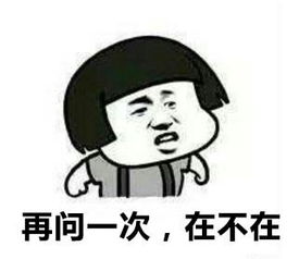快点说爱我的表情包杀猪刀